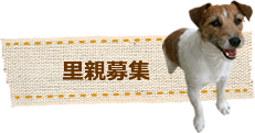 里親募集