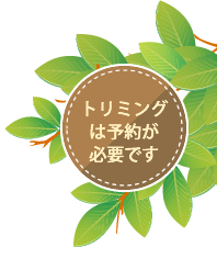トリミングには予約が必要です