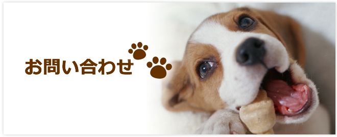 お問い合わせ
