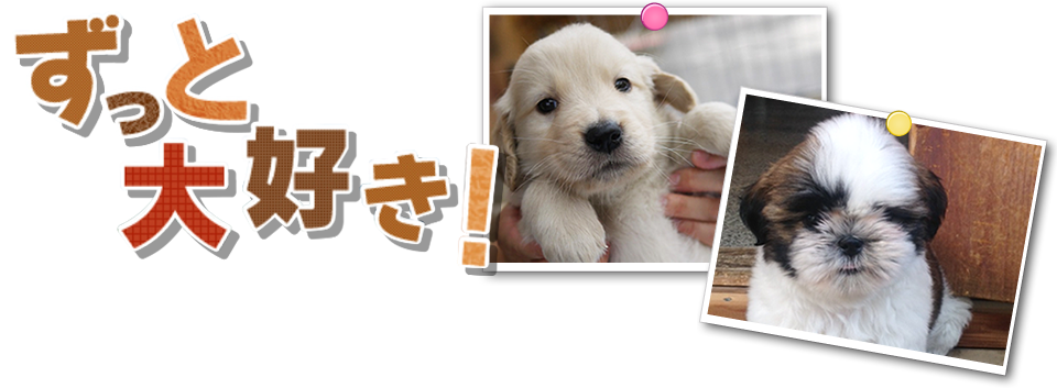 ずっと大好き