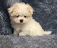 やってて良かった(^O^)